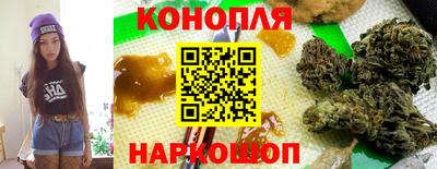 дмт Пенза
