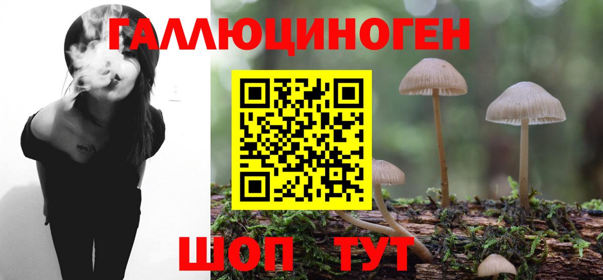 Рузаевка  Галлюциногенные грибы Cubensis  Вход с VPN 
